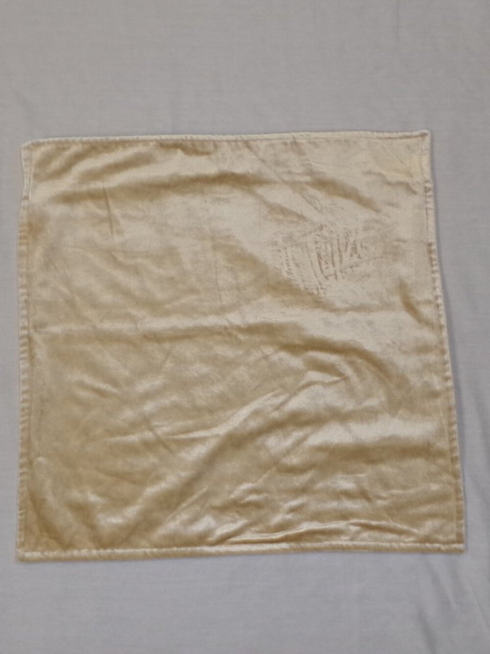 Annie Selke Panne VELVET Champagne Decorative Pillow Sham Cover 20" x 20"